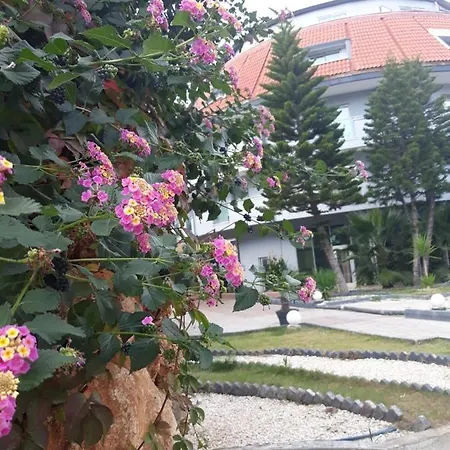 Hotel Club Jovia Kemer Antalya